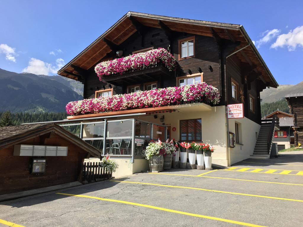 Hotel Haus Muehlebach Ernen Екстер'єр фото